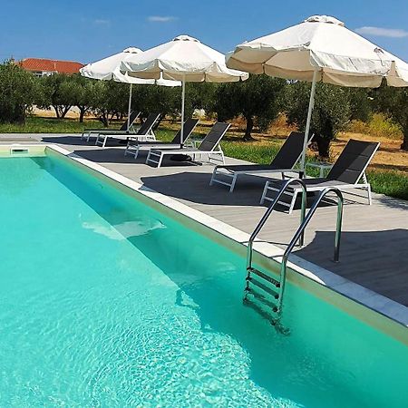 Eleonas Suites Sarti Zewnętrze zdjęcie